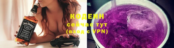 гашик Майский