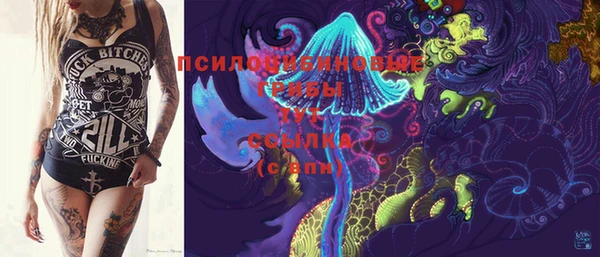 гашик Майский
