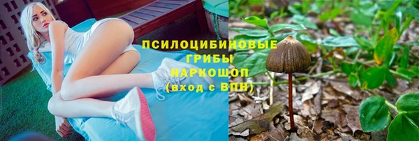 дмт Магадан