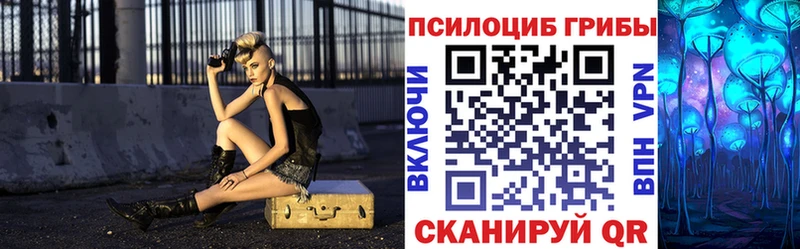 где можно купить наркотик  Мышкин  Псилоцибиновые грибы Magic Shrooms 